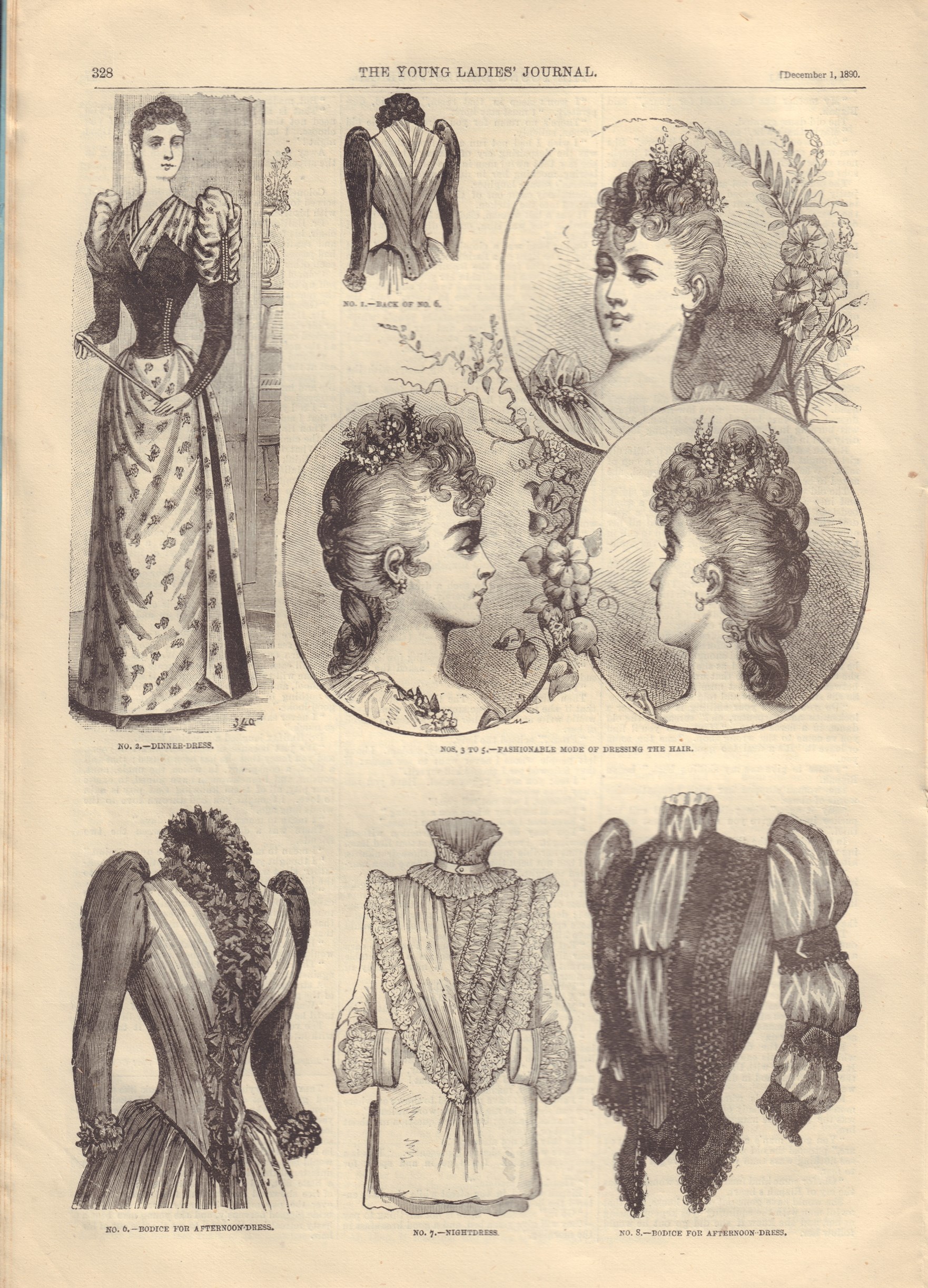 Image for The Young Ladies' Journal - Demember 1890